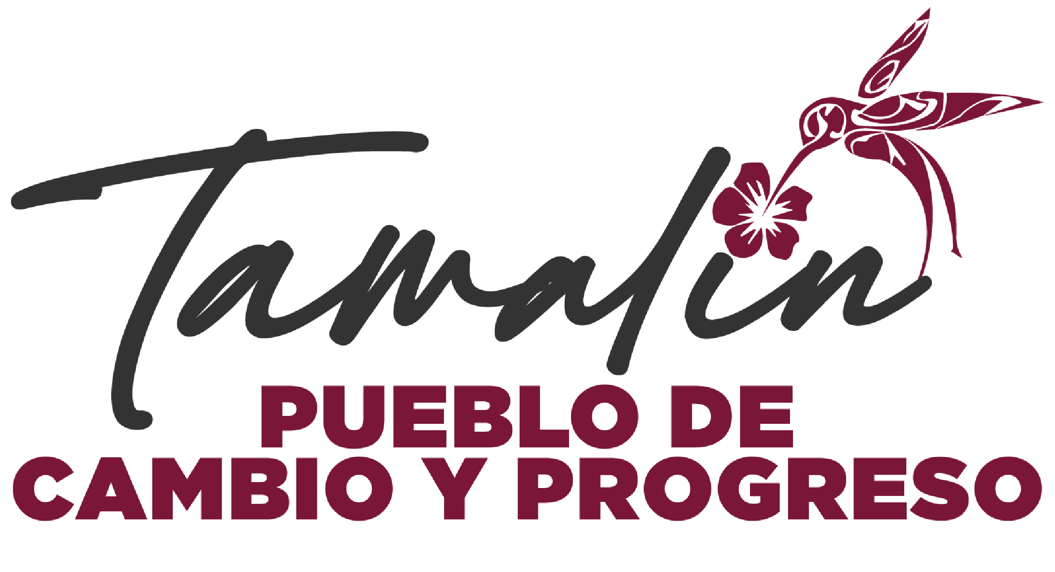 Noticias Tamalin